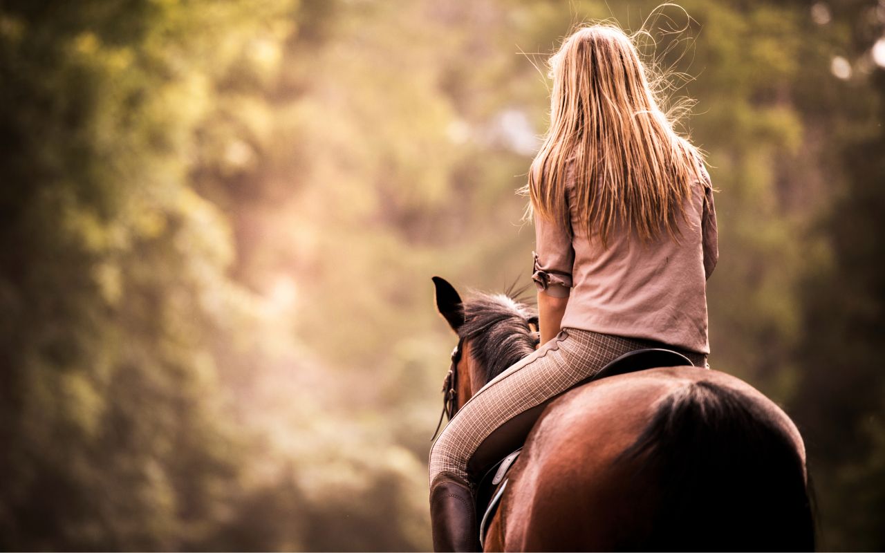 Equine Assisted Coaching